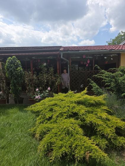 Casă cu 3 camere în Central