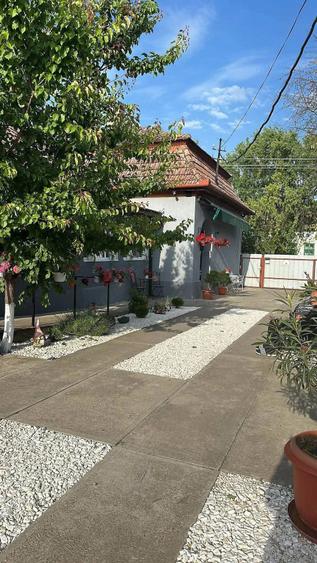 Casă cu Teren 2150 Mp în Lenauheim