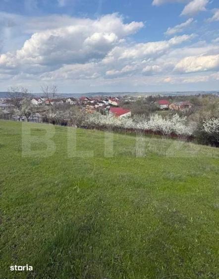 Teren intravilan 1.693 mp | Geamana | Oportunitate investitie | - 1