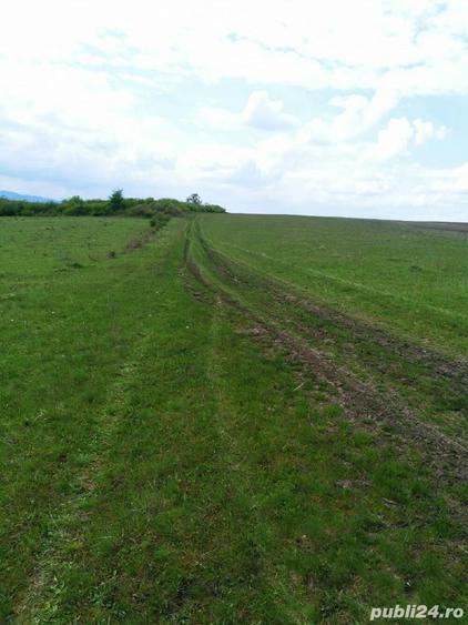 Teren de 3000 mp, în Central