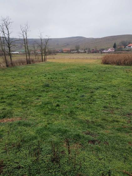 Casă cu 3 camere cu Teren 3629 Mp în Boian