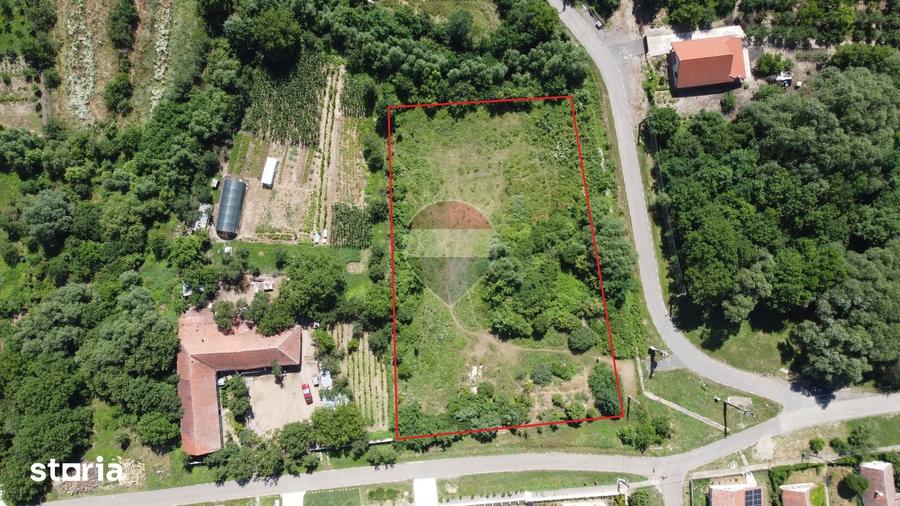 Teren intravilan 2877 mp Murani langa Domenii oportunitate investitie - 2