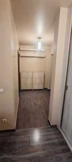 Inchiriere apartament 2 camere Terezian - 2
