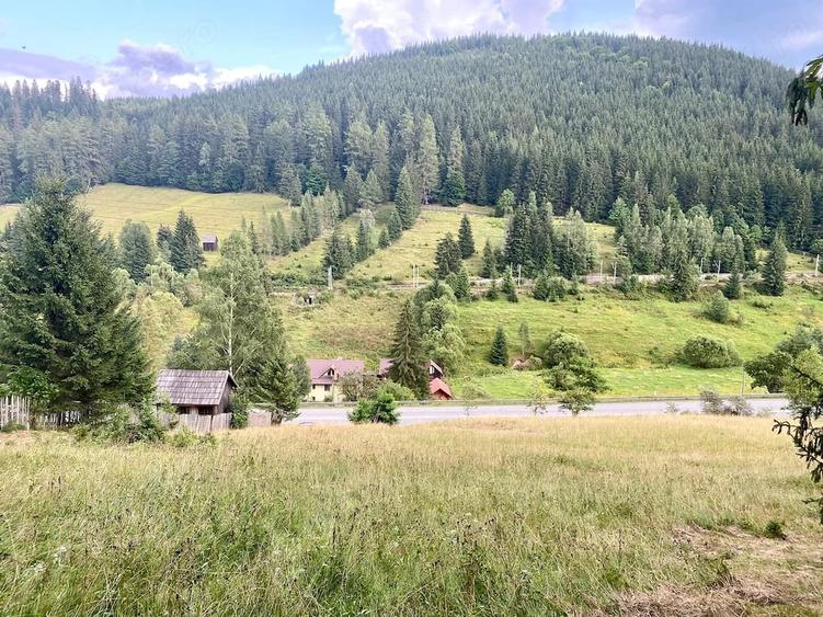 Teren de 4578 mp, în Valea Putnei