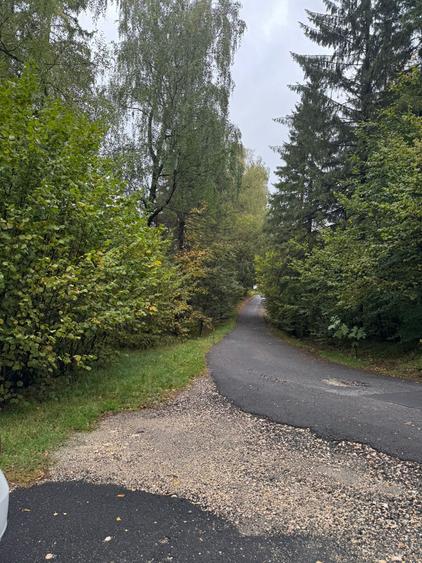 Teren Construcții intravilan de 4629 mp, în Poiana Brașov