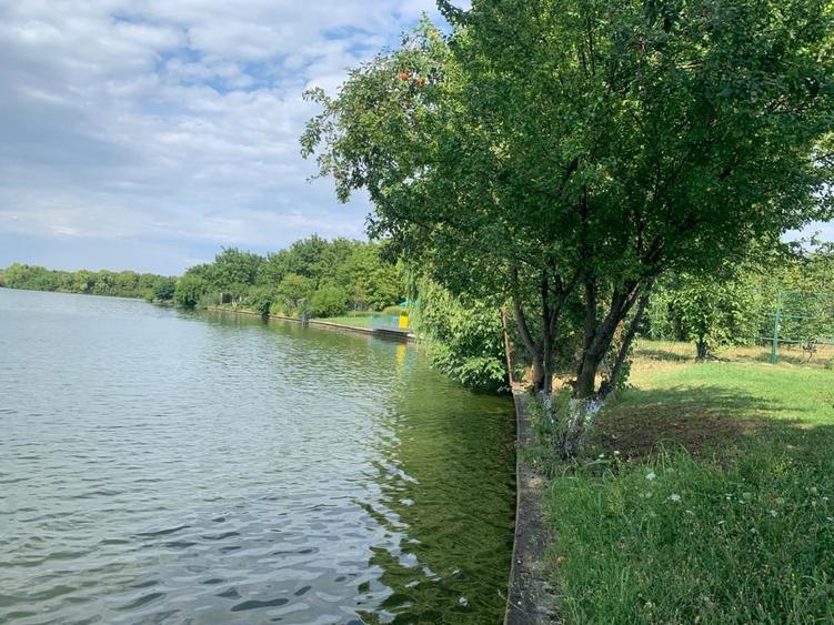 Teren Construcții intravilan de 2066 mp, în Dămăroaia
