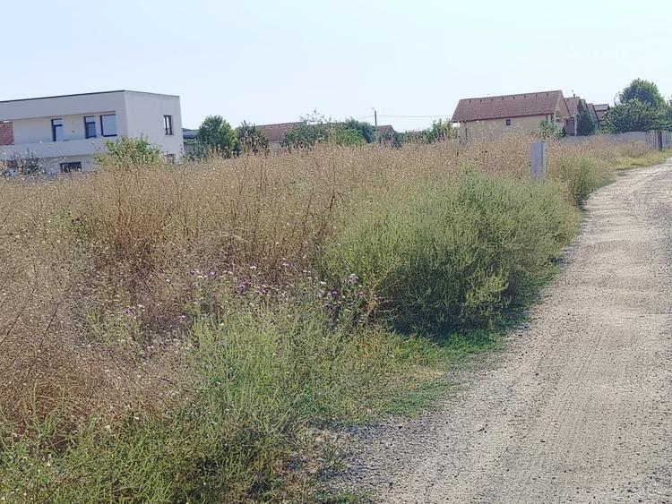 Teren Construcții intravilan de 500 mp, în Malu Mare