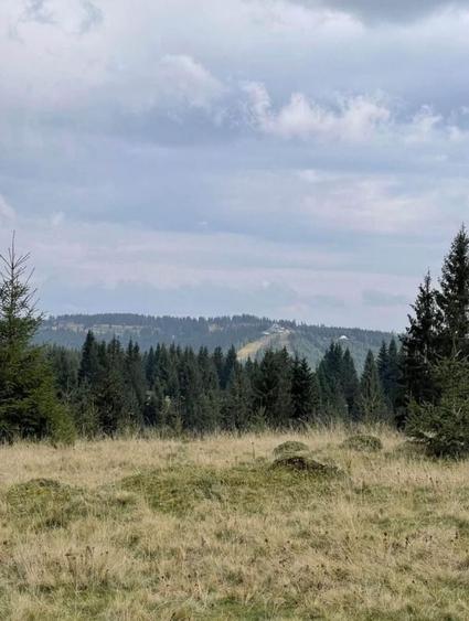 Teren de 2300 mp, în Beliș