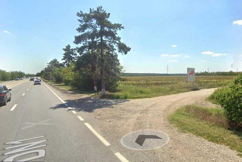 Teren de 5000 mp, în Vlădiceasca