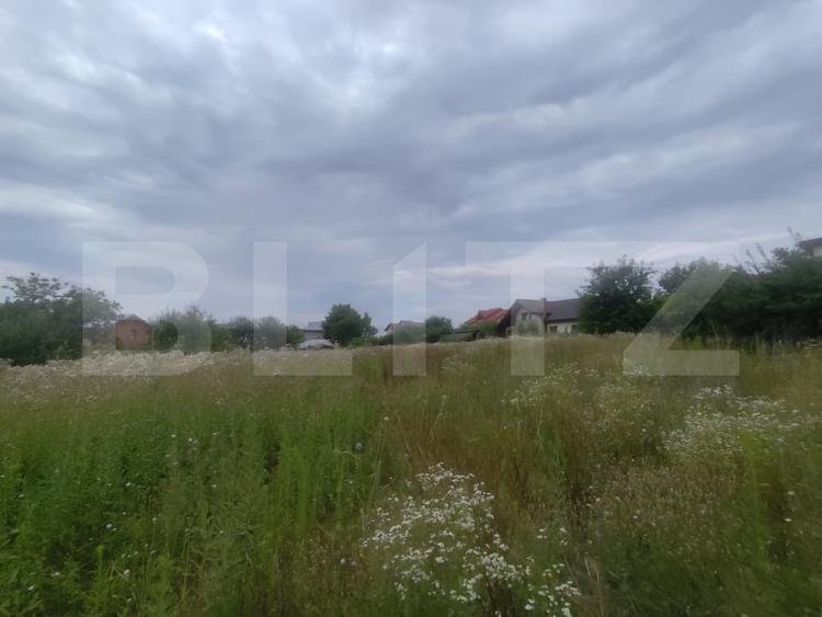 Casa 120 mp utili, 2850 mp teren, zona Bucium - 8