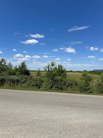 Teren intravilan de 42167 mp, în Tăuții-Măgherăuș