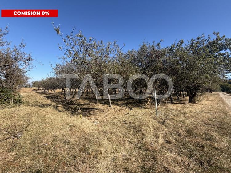 Teren de 750 mp, în Stațiunea Climaterică Sâmbăta