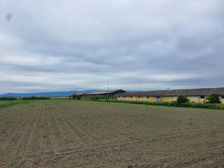 Teren Construcții intravilan de 11000 mp, în Nord-Vest