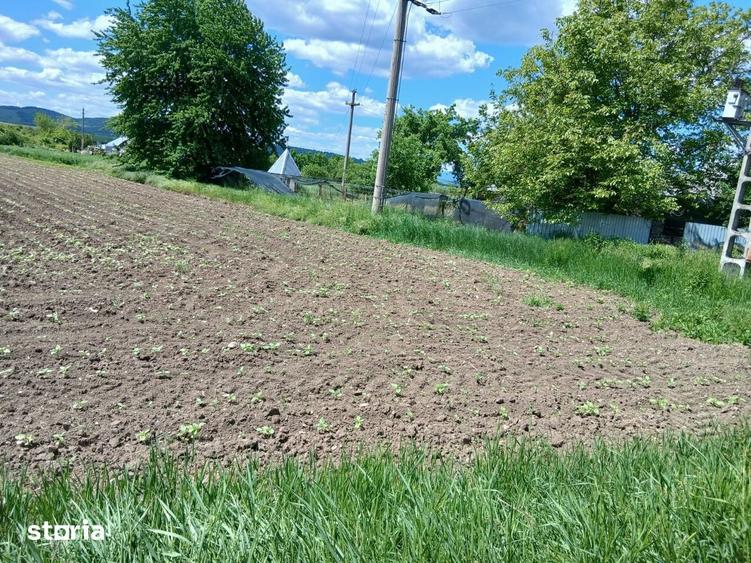 Teren intravilan Racova, Bacau 2.049 mp, deschidere DN15 | 15 /mp - 5