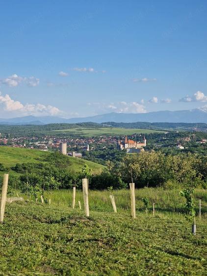 Teren de 1500 mp, în Central