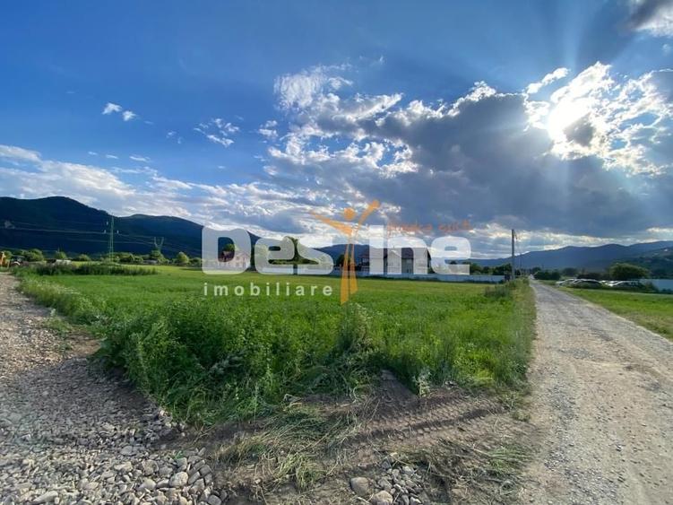 Teren Construcții intravilan de 735 mp, în Alexandru cel Bun