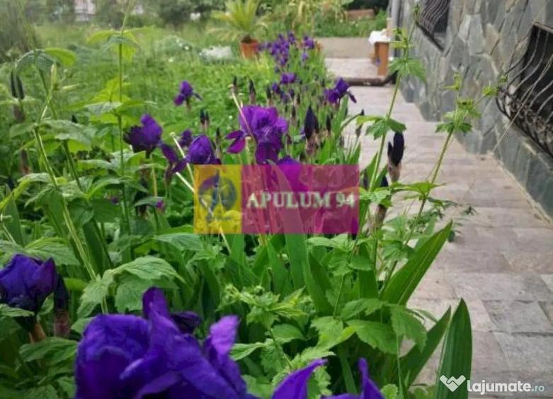 Casă cu 3 camere cu Teren 727 Mp în Poiana
