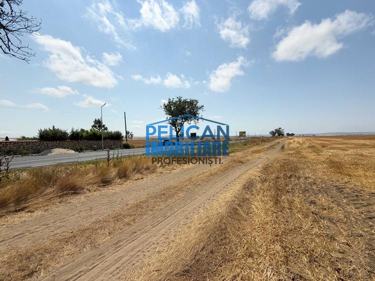 Teren Construcții intravilan de 4000 mp, în Mihail Kogălniceanu