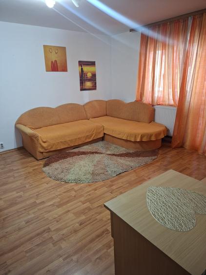 Apartament cu 2 camere de inchiriat in Calea Sagului,320 euro - 7