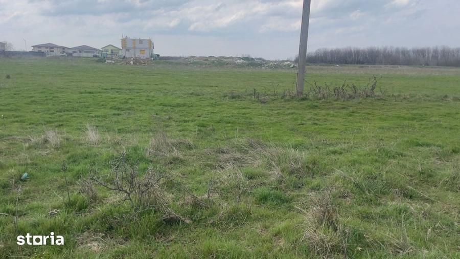 Teren de 1000 mp, în Central