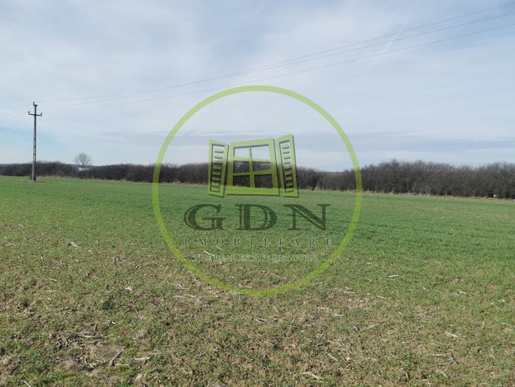 Teren agricol extravilan de 21496 mp, în Săcădat