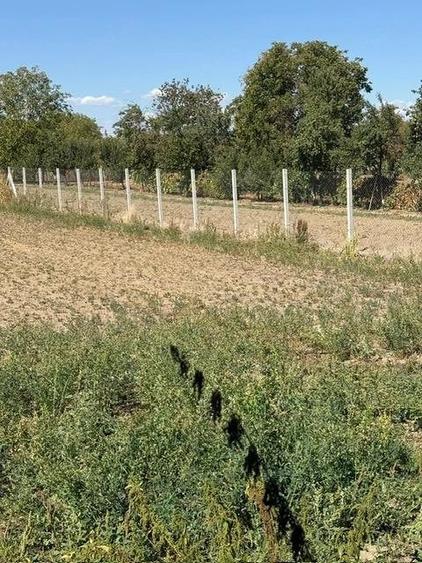 Casă cu 3 camere cu Teren 3083 Mp în Lugojel
