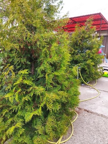 Casă cu 3 camere cu Teren 1500 Mp în Macea