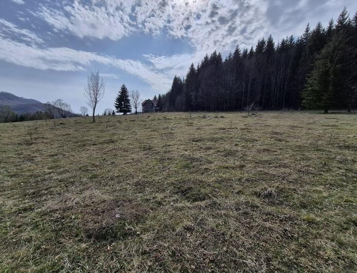 Teren Construcții intravilan de 1243 mp, în Trăisteni