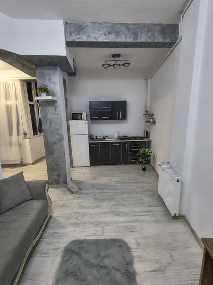 Casă cu 2 camere în Central