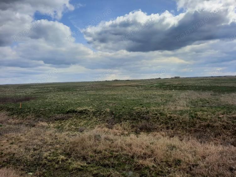 Teren de 13000 mp, în Sânmihaiu Român