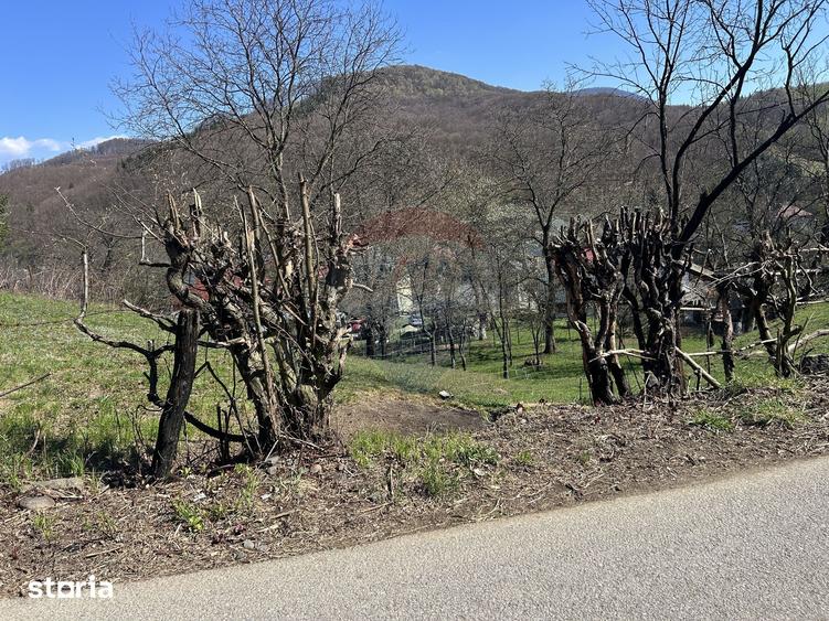 Teren de 1106 mp, în Firiza