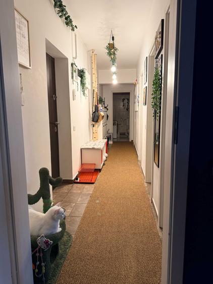 Apartament cu 3 camere decomandat în Metalurgiei