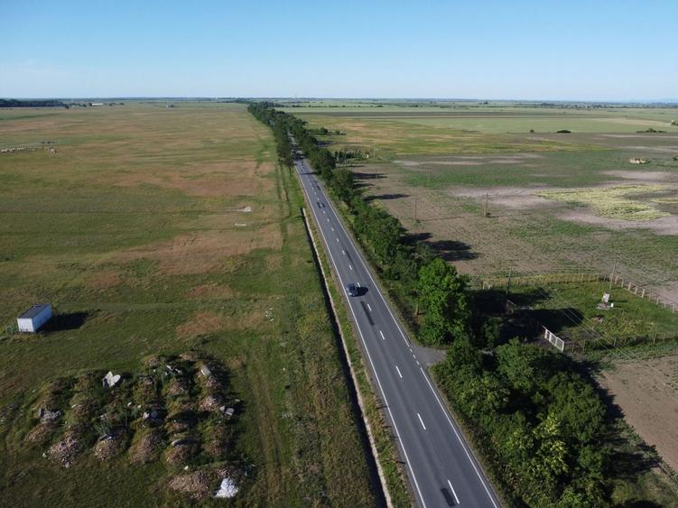 Teren Construcții intravilan de 10000 mp, în Șimand