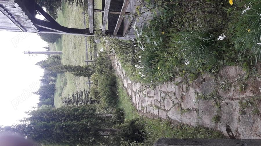 Casă cu 3 camere în Piatra