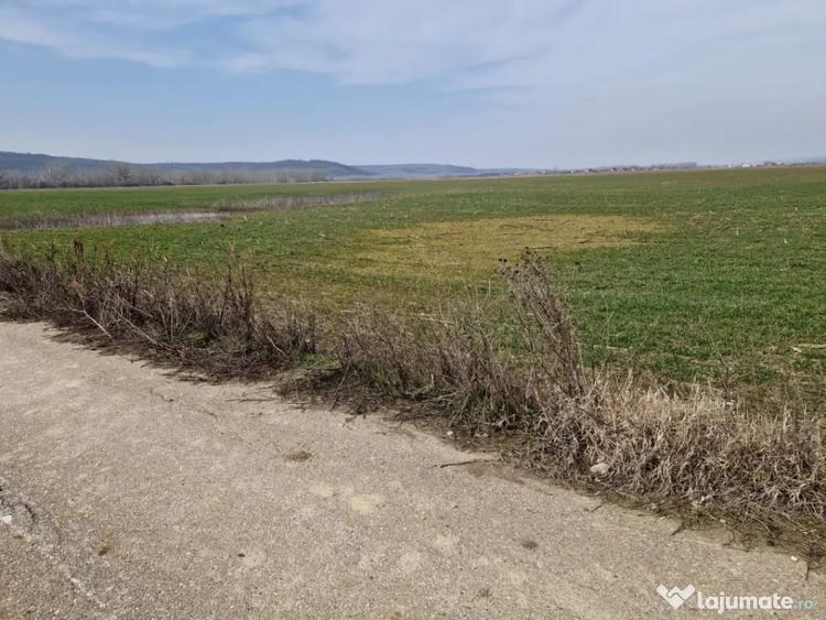 Teren de 3300 mp, în Șimnicu de Sus