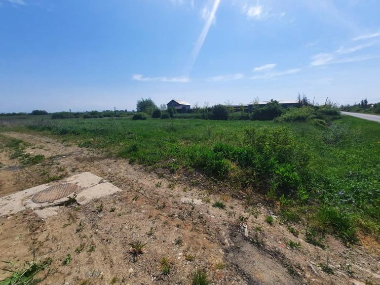 Teren Construcții intravilan de 12216 mp, în Vetiș