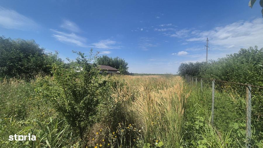 Teren de 549 mp, în Central