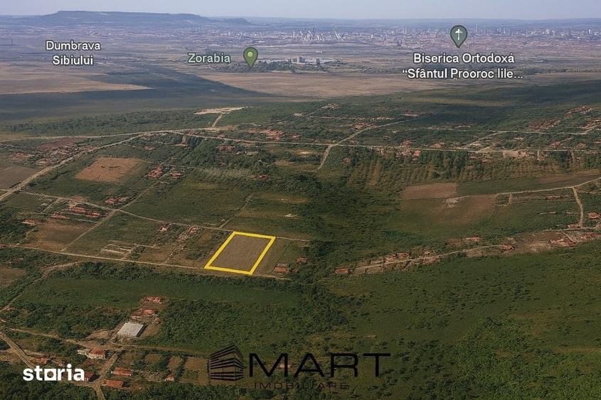 Teren de 8000 mp, în Roșia