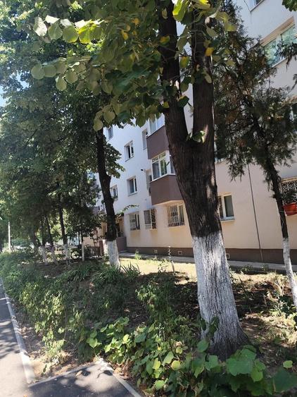 Apartament cu 2 camere decomandat în Drumul Taberei
