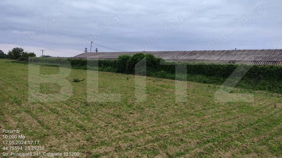 Teren intravilan/extravilan, 1 hectar, zona Gura Foii - 3