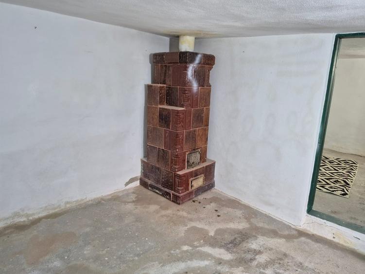 Casă cu 4 camere cu Teren 8000 Mp în Pruni
