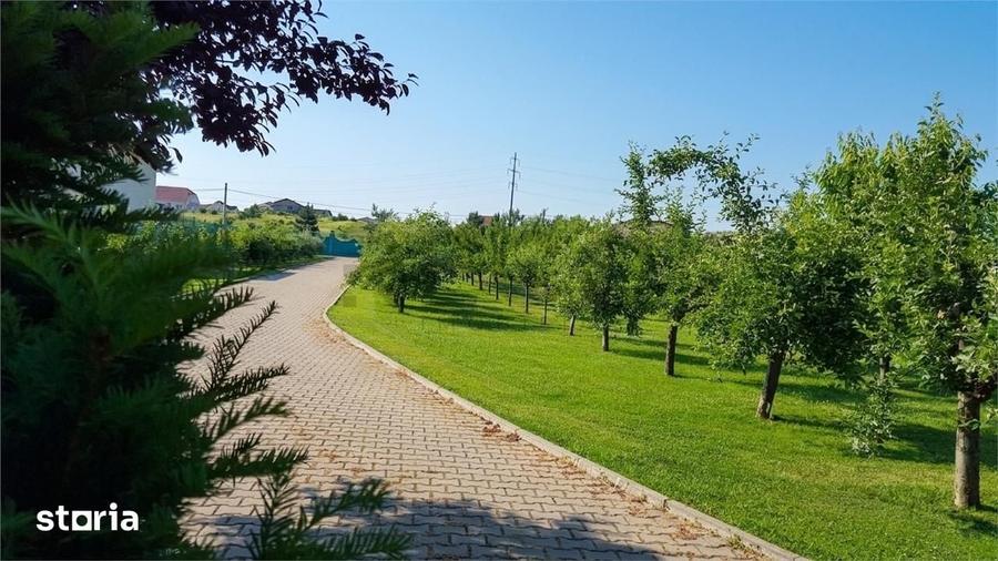 Casă cu 5 camere cu Teren 8030 Mp în Sânmartin