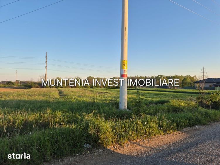 Teren de 3533 mp, în Poiana Lacului