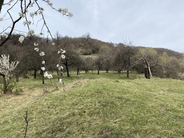 Teren de 22000 mp, în Corbi