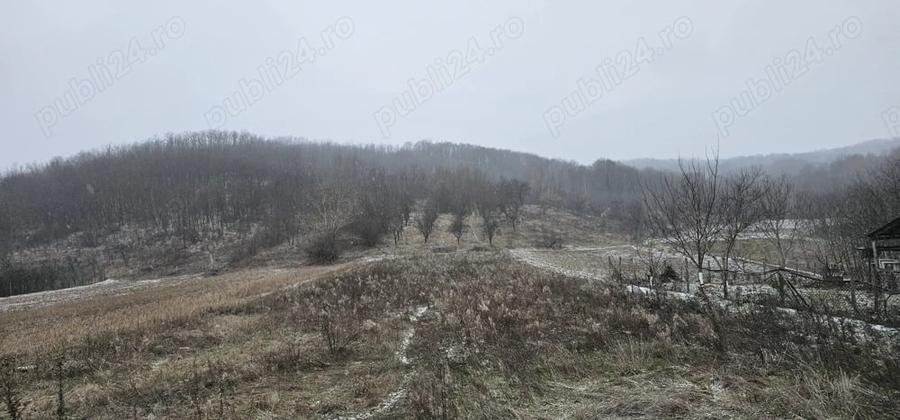 Casă cu 2 camere cu Teren 11000 Mp în Mitrofani