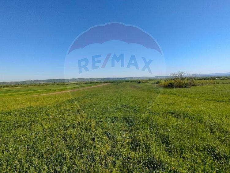 Teren agricol extravilan de 1668 mp, în Gura Râului