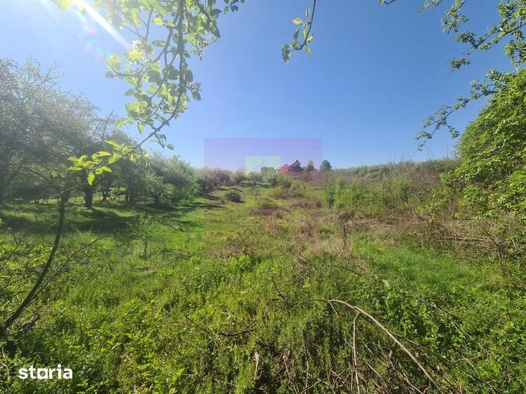 Teren de 2500 mp, în Voila