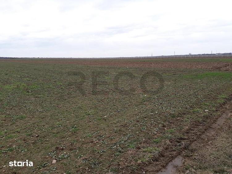 Teren de 29100 mp, în Sântandrei