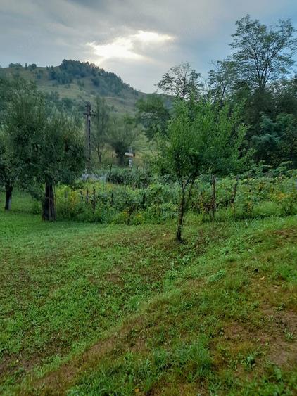Casă cu Teren 2000 Mp în Ariceștii Zeletin