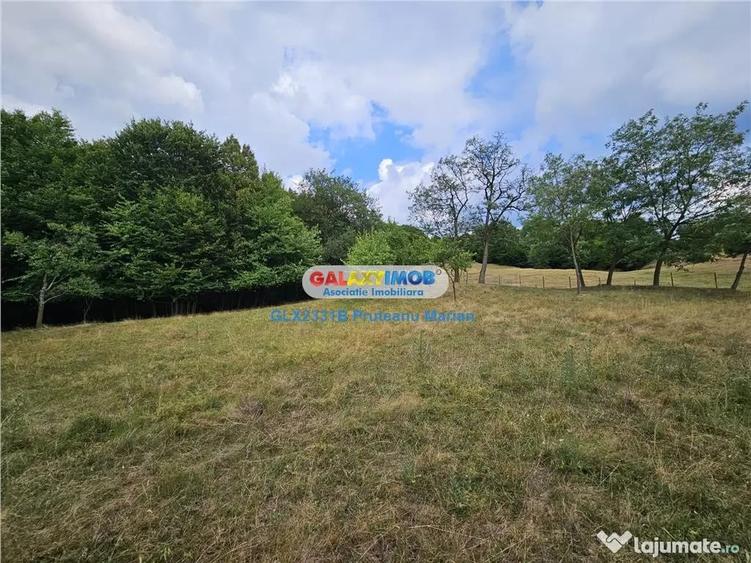 Teren de 2700 mp, în Curtea de Argeș